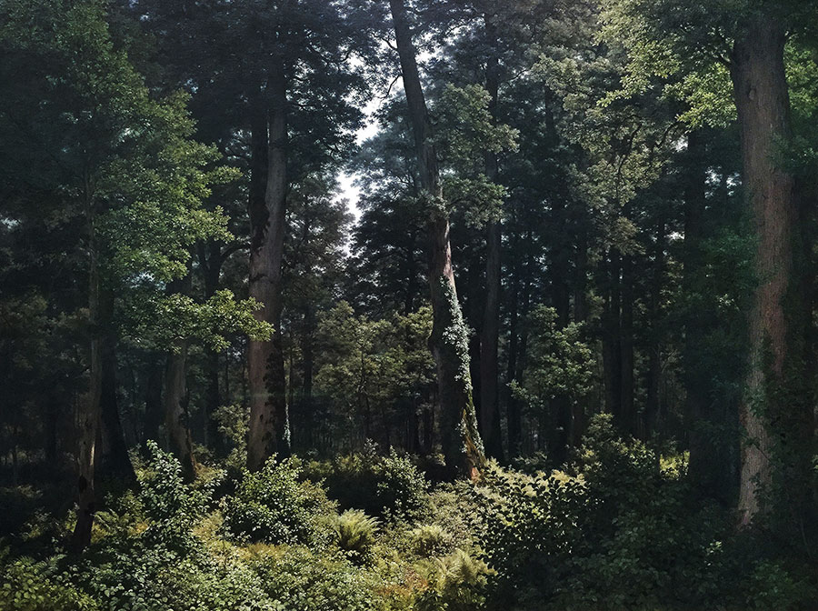 eichenwald